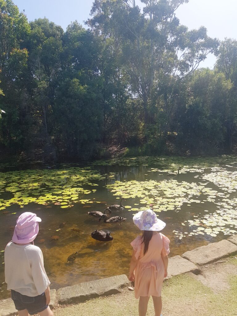 Homeschool park day