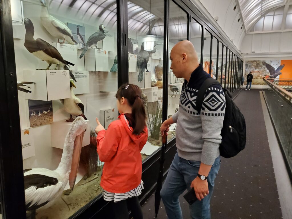 Australian Museum