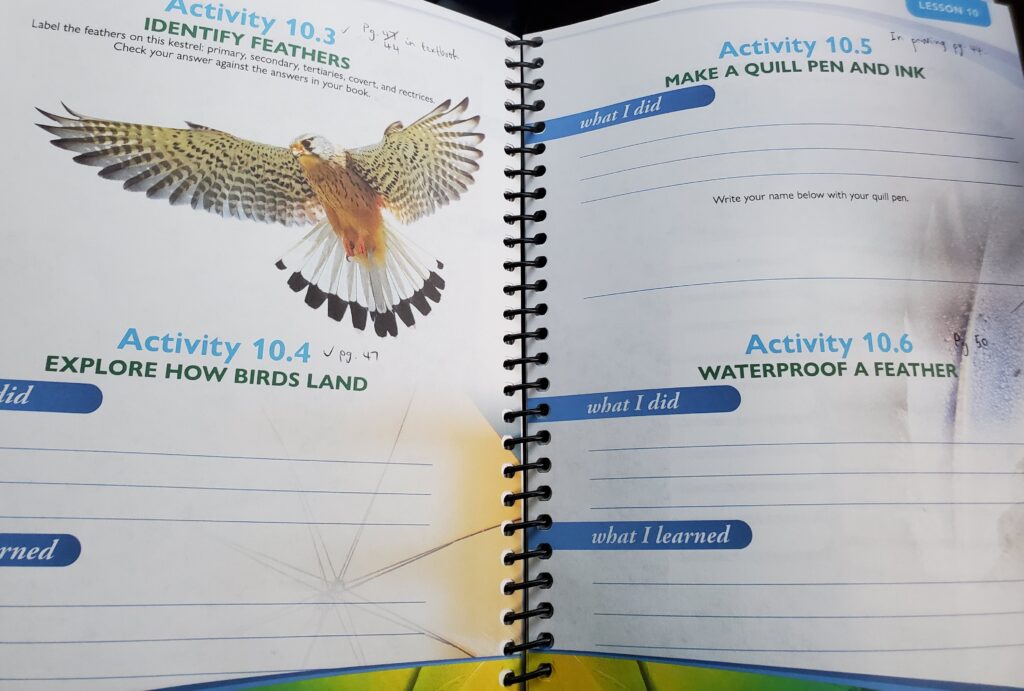 Apologia Zoology experiments