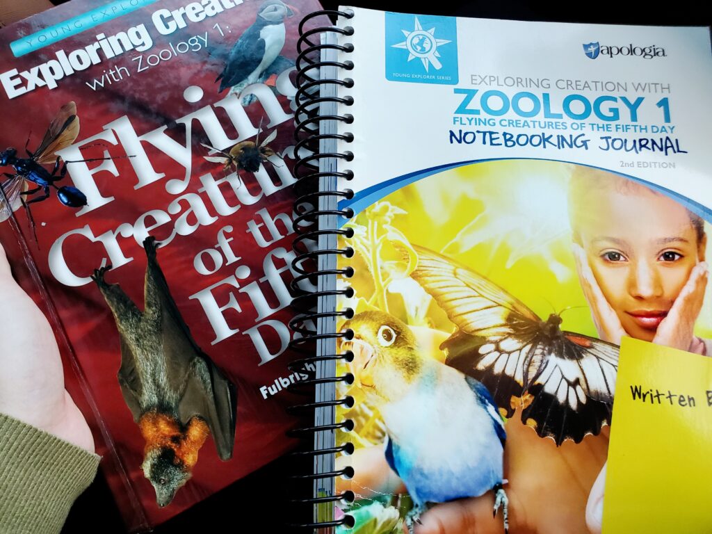 Zoology 1: Flying Creatures of the Fifth Day 1st and 2nd editions
