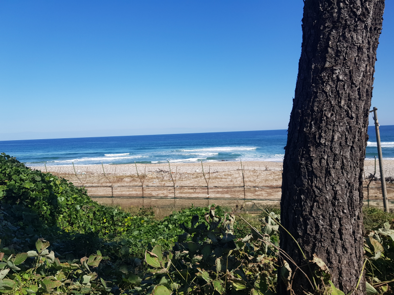 Goseong DMZ Tourist area beach.