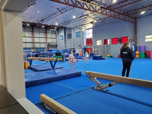 FairPlay gymnastics photo